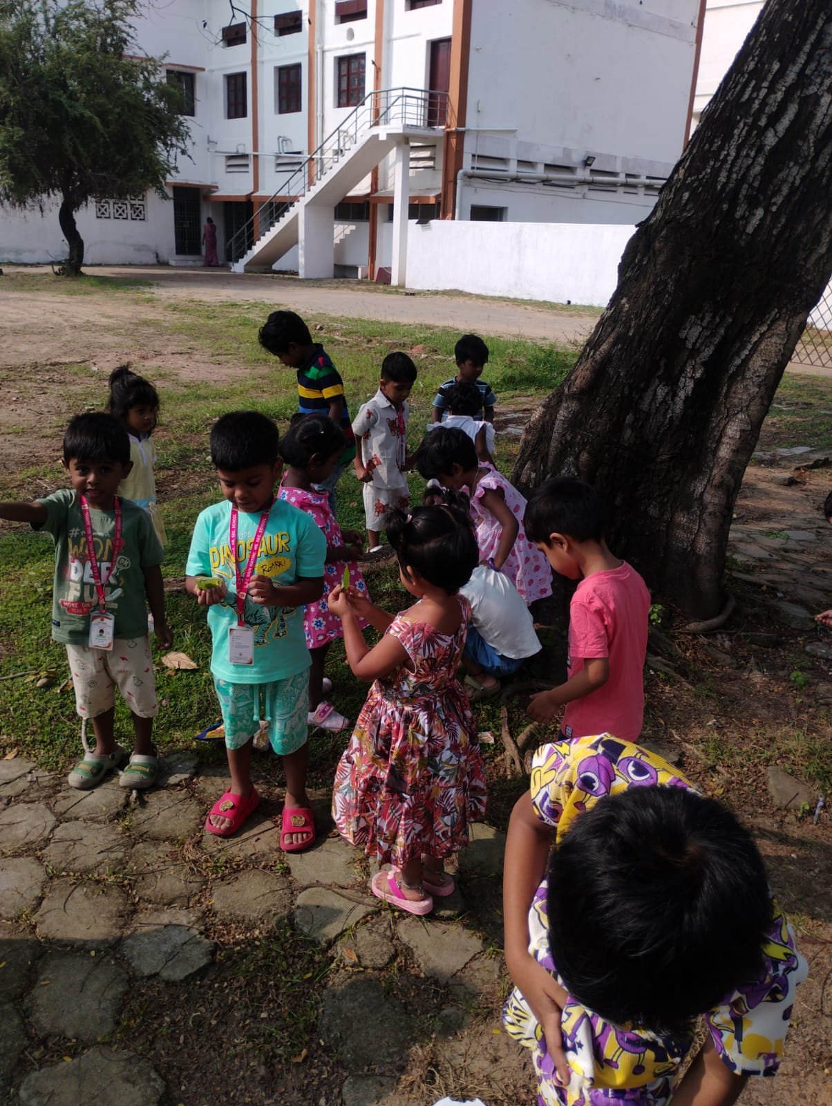 WhatsApp Image 2026-01-11 at 10.01.08 (1).jpeg