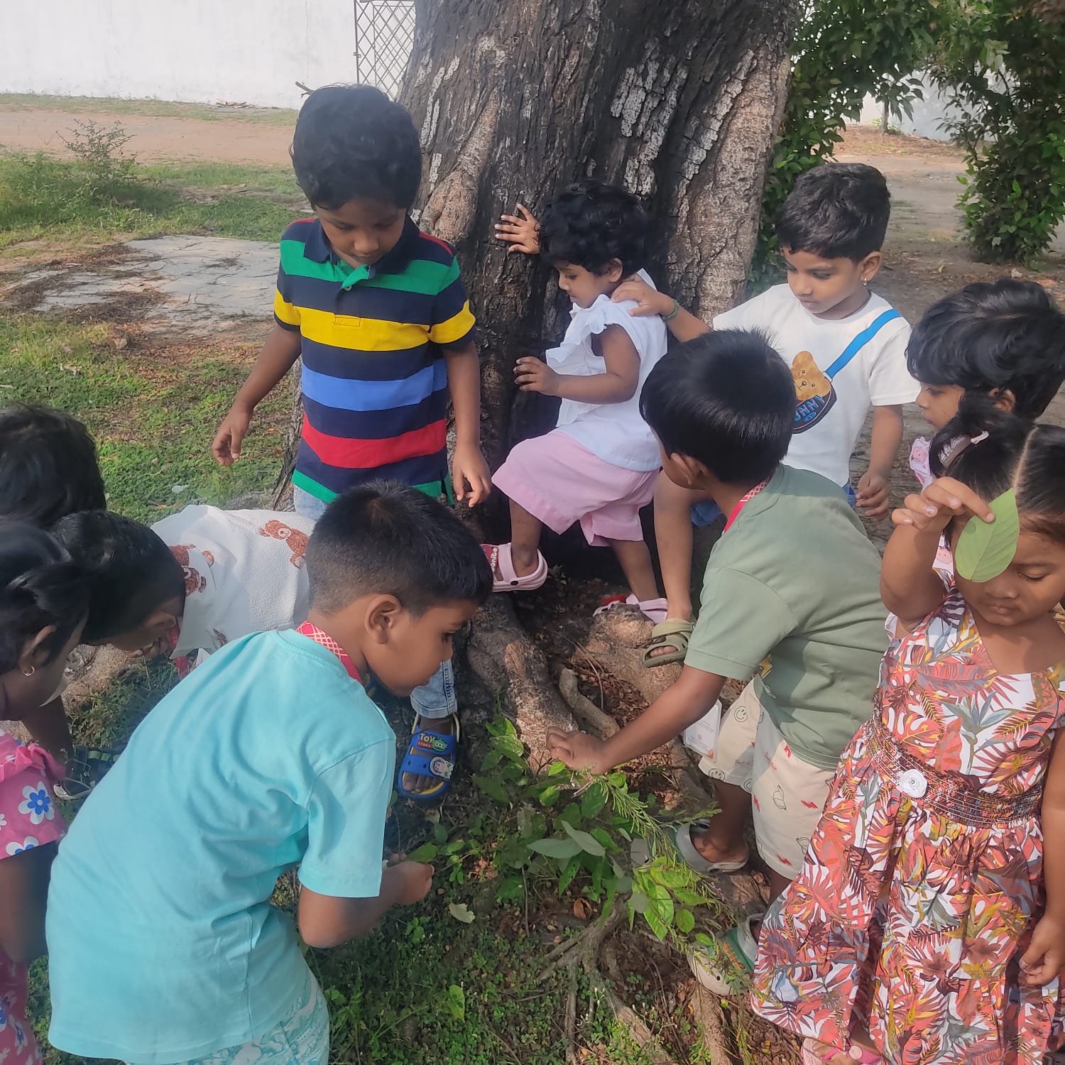 WhatsApp Image 2026-01-11 at 10.01.07 (1).jpeg